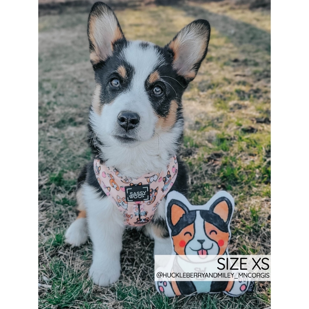 Sassy Woof Corgilicious Medium Dog Harness - Picture 11 of 16